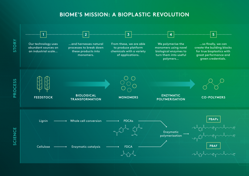 Biome-IB-infographic
